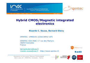 Hybrid CMOS/Magnetic integrated electronics