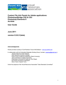 Custom File Info Panels for Adobe applications