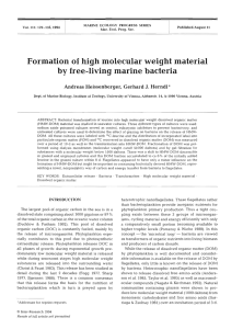 Formation of high molecular weight material by free