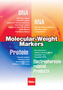 Molecular-Weight Markers