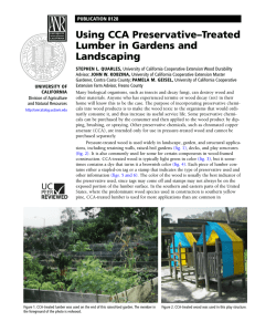 Using CCA Preservative-Treated Lumber in Gardens