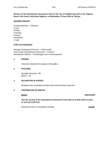 Minutes - Development Assessment Panel Meeting