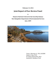 February 2014 – Joint Report of Peer Review Panel for Numeric