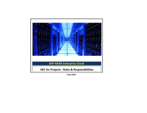 SAP HANA Enterprise Cloud HEC for Projects - Roles