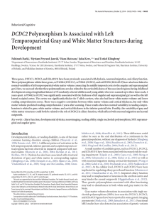 DCDC2Polymorphism Is Associated with Left Temporoparietal Gray