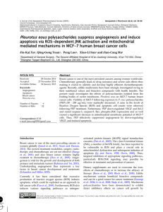 Pleurotus eous polysaccharides suppress angiogenesis and induce