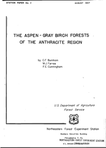 THE ASPEN - GRAY BIRCH FORESTS OF THE ANTHRACITE
