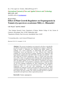 Effect of Plant Growth Regulators on Organogenesis in Tomato