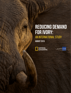 Reducing demand for ivory: An International Study