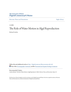 The Role of Water Motion in Algal Reproduction