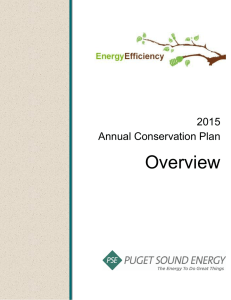 Energy Efficiency 2015 Annual Conservation