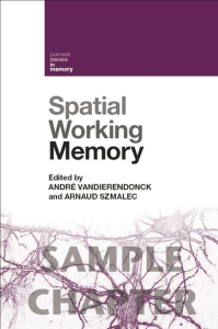 Spatial Working Memory - cognitive