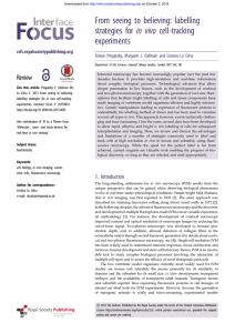 From seeing to believing: labelling strategies for in vivo cell