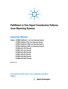 PathDetect in Vivo Signal Transduction Pathway trans