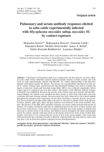 Pulmonary and serum antibody responses elicited in zebu cattle