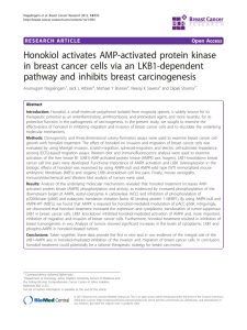 Honokiol activates AMP-activated protein kinase in breast cancer