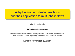 Adaptive inexact Newton methods and their application to multi
