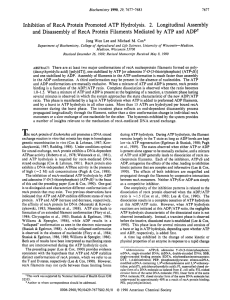 Inhibition of RecA protein promoted ATP hydrolysis. 2. Longitudinal