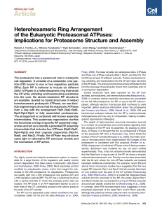 Implications for Proteasome Structure and Assembly