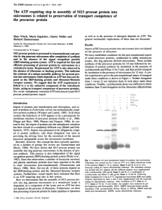 The ATP requiring step in assembly of M13 procoat protein into