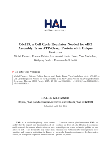 Cdc123, a Cell Cycle Regulator Needed for eIF2 Assembly, Is an