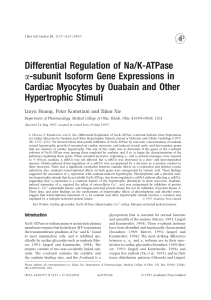 Differential Regulation of Na/K-ATPase a