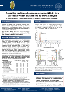 Revealing multiple-disease resistance QTL in two European wheat