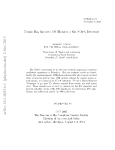 Cosmic Ray Induced EM Showers in the NO $\ nu $ A Detectors