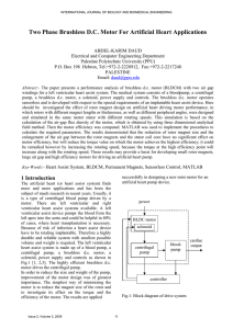 Two Phase Brushless D.C. Motor For Artificial Heart Applications