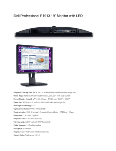 Dell Professional P1913 19” Monitor with LED