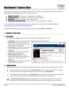 Blackboard 1: Course Sites