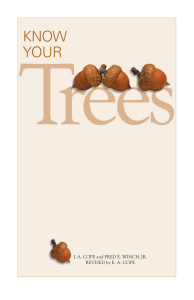 Know Your Trees w/art