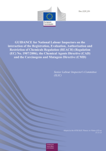 GUIDANCE for National Labour Inspectors on the