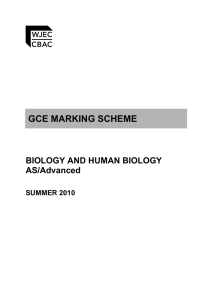 gce marking scheme