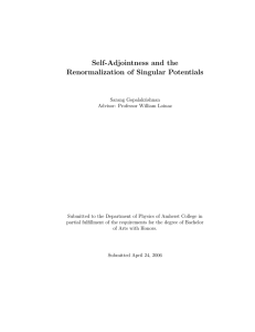 Self-Adjointness and the Renormalization of