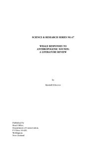 Whale responses to anthropogenic sounds