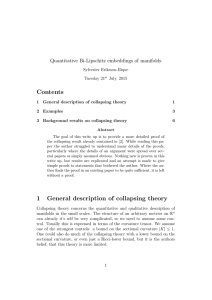 Contents 1 General description of collapsing theory