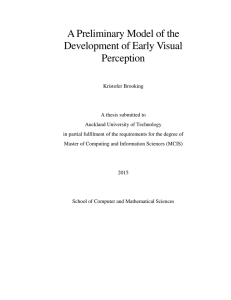A Preliminary Model of the Development of Early Visual Perception