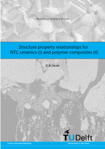 Structure property relationships for NTC ceramics