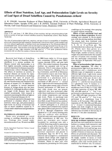 Effects of Host Nutrition, Leaf Age, and Preinoculation Light Levels