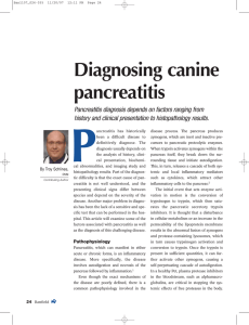 Diagnosing canine pancreatitis
