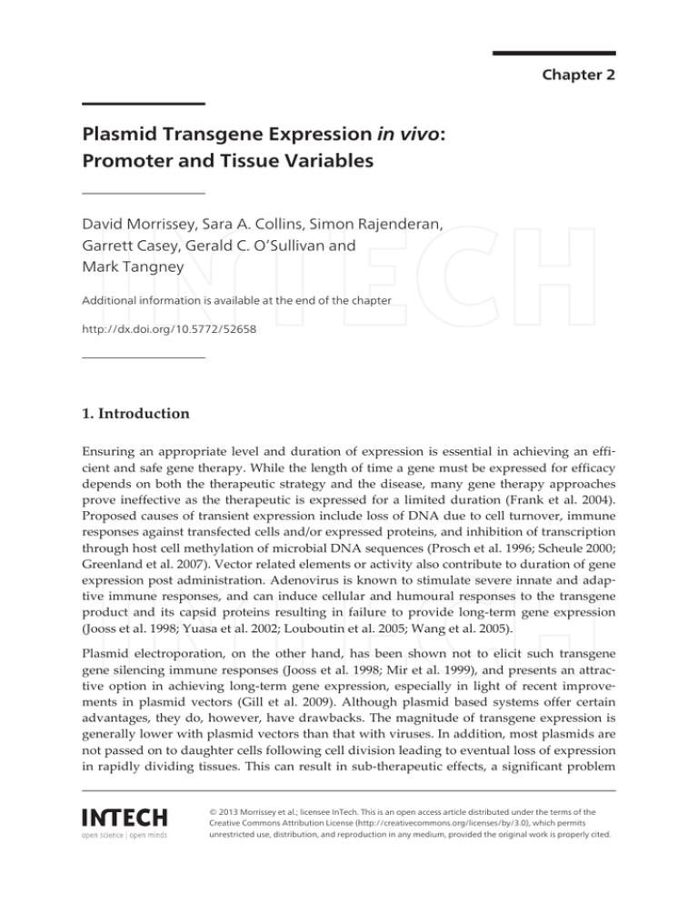 Plasmid Transgene Expression in vivo: Promoter and