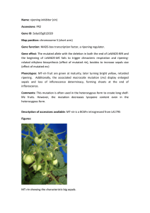 Name: ripening inhibitor (rin) Accessions: FR2 Gene ID