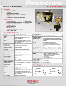 E1S, E1H Series Datasheet