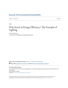 Why Invest in Energy Efficiency? The Example of Lighting