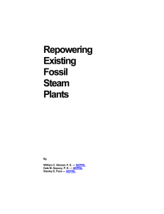 Repowering Existing Fossil Steam Plants