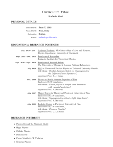 Curriculum Vitae - Particle Theory