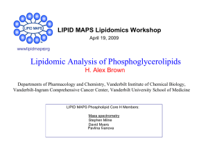 Lipidomic Analysis of Phosphoglycerolipids