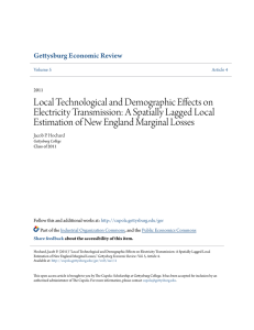 Local Technological and Demographic Effects on Electricity