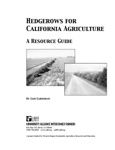 Hedgerows for California Agriculture